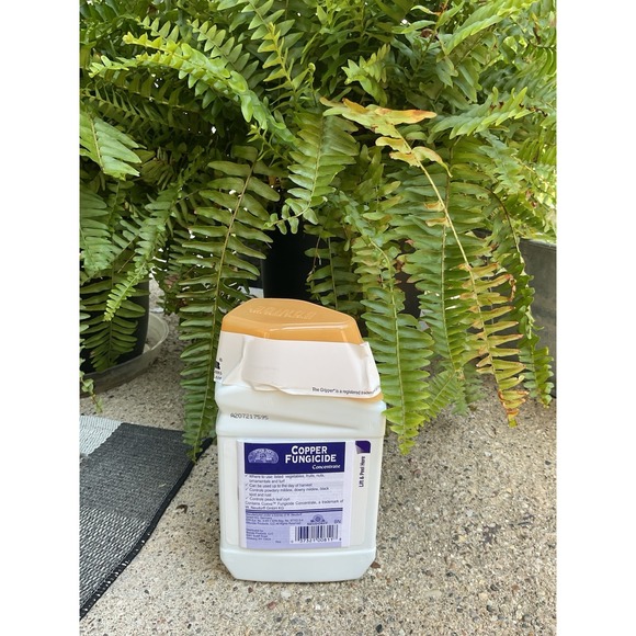 Bonide Captain Jack's Copper Fungicide, 16 oz Concentrated Plant Disease Control - Picture 1 of 4